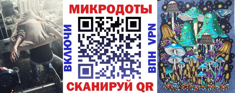 Галлюциногенные грибы Psilocybine cubensis  Курлово 